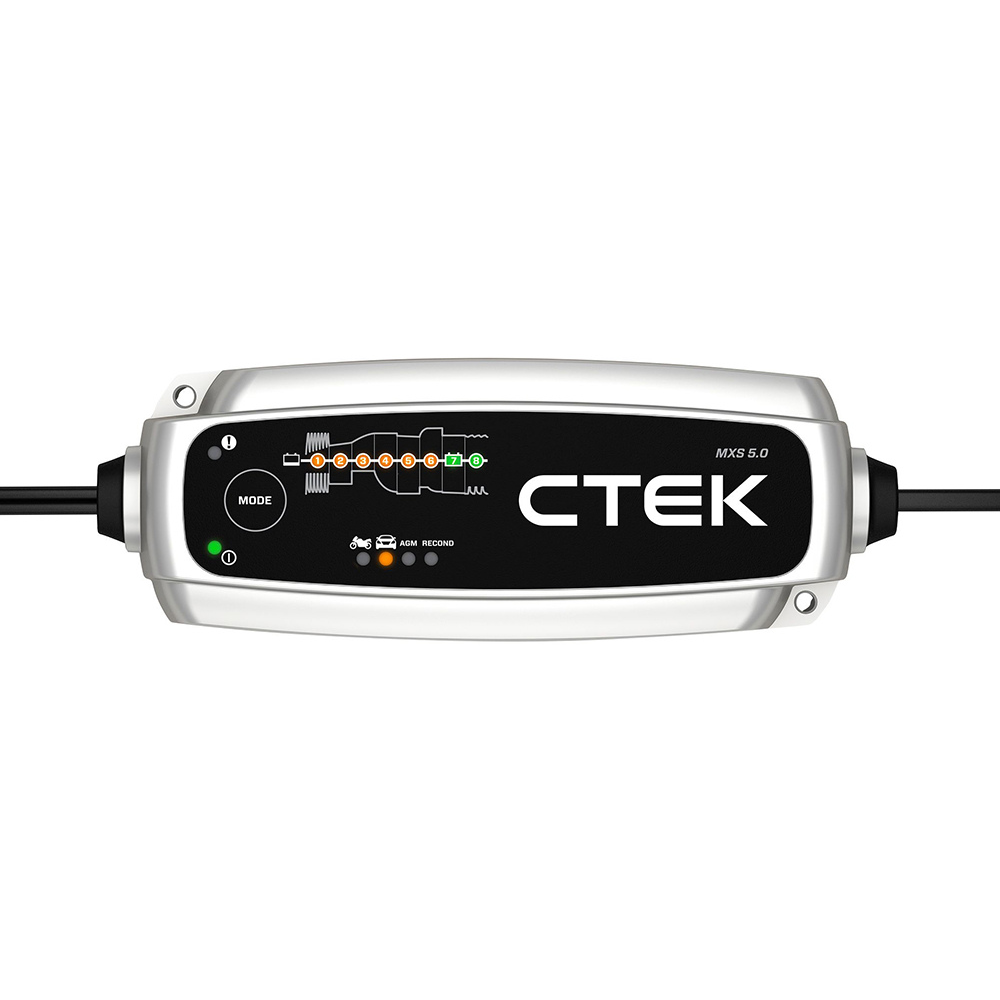 Untitled design - 2026-01-14T032025.809